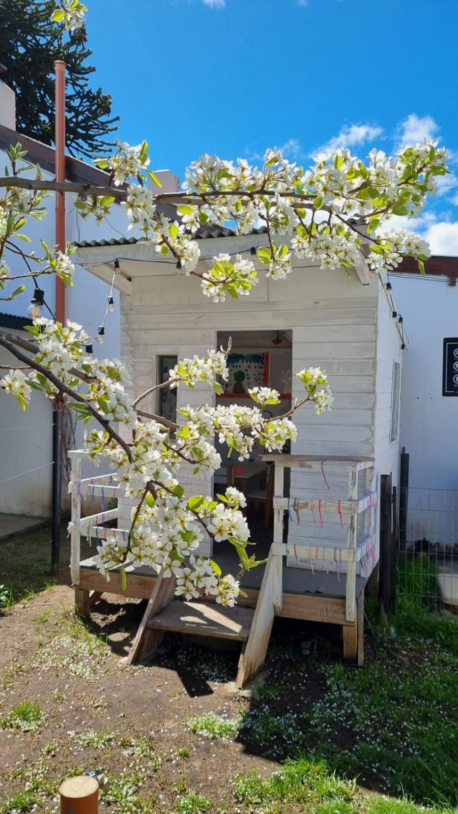 Hol Gok Patagonia Apartment Esquel Exterior photo